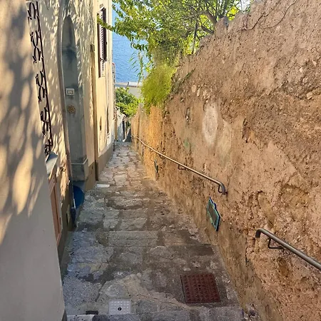 Il Profumo Dei Fiori *